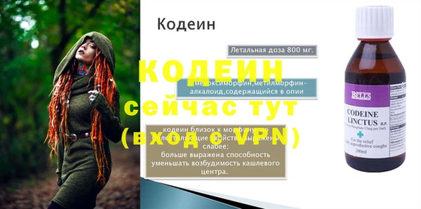 прущие грибы Алапаевск