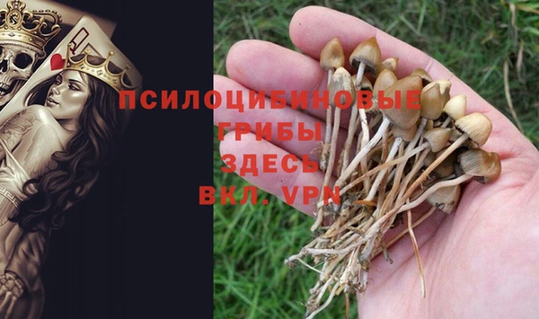 герыч Медвежьегорск