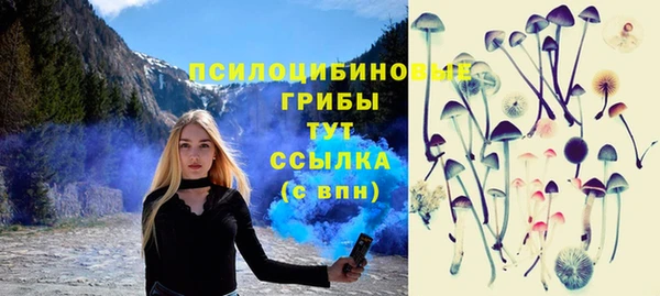 a pvp Медногорск